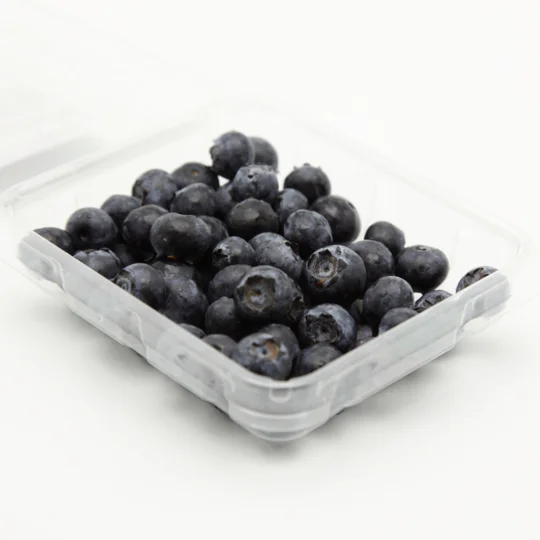 Buy Blueberry Plant Online in Wholesale in Delhi
