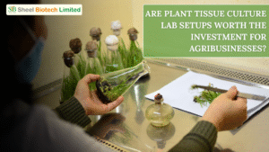 plant tissue culture lab setup Europe