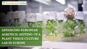 Plant Tissue Culture Lab in Europe