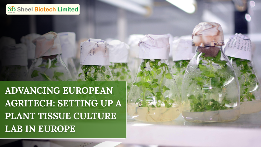 Plant Tissue Culture Lab in Europe