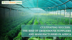 Greenhouse Suppliers and Manufacturers in Africa