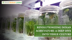 Tissue Culture