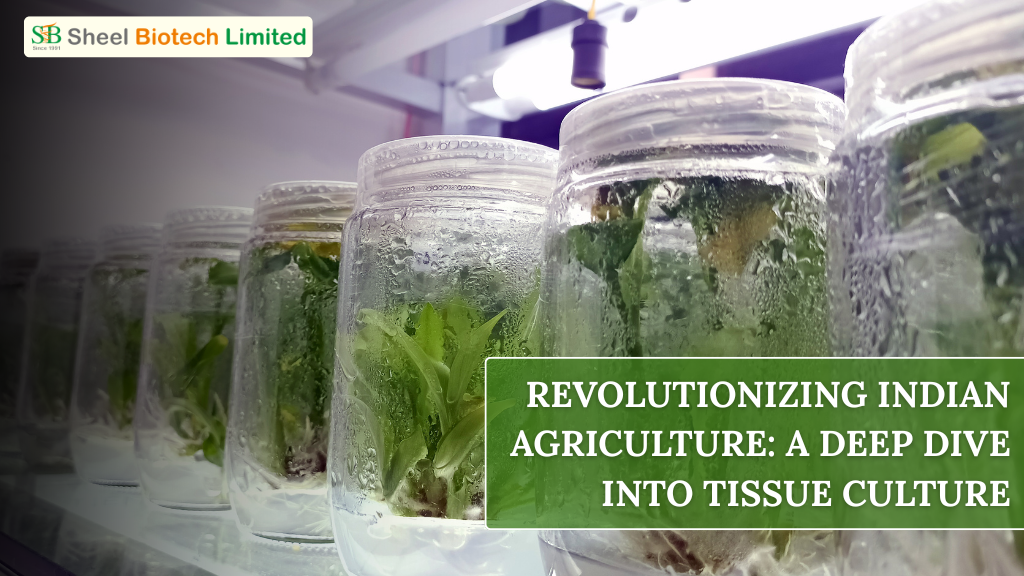 Tissue Culture