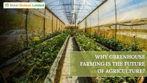 Greenhouse Farming
