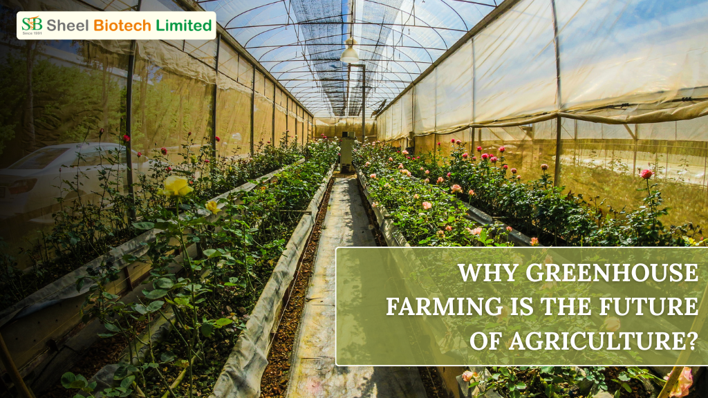 Greenhouse Farming