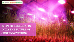 Speed Breeding in India