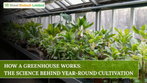 greenhouse manufacturers in India