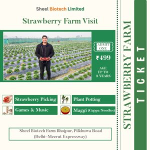 Strawberry Picking Ticket (For Kids)