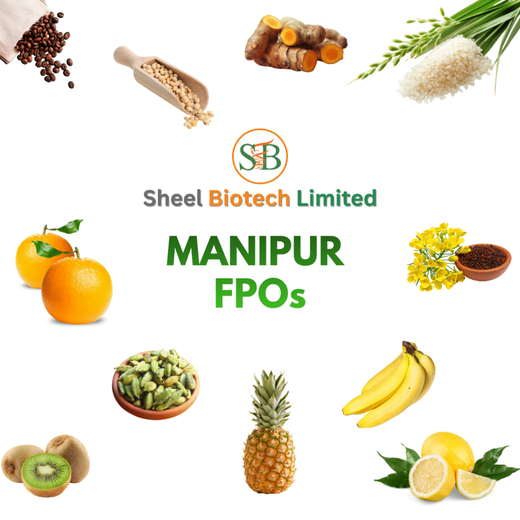 Manipur Fpo