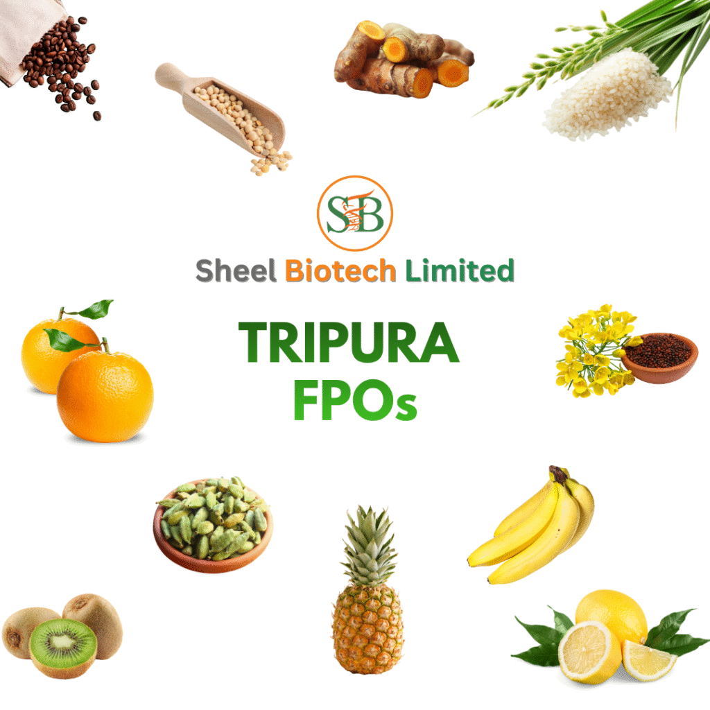 Tripura Fpo