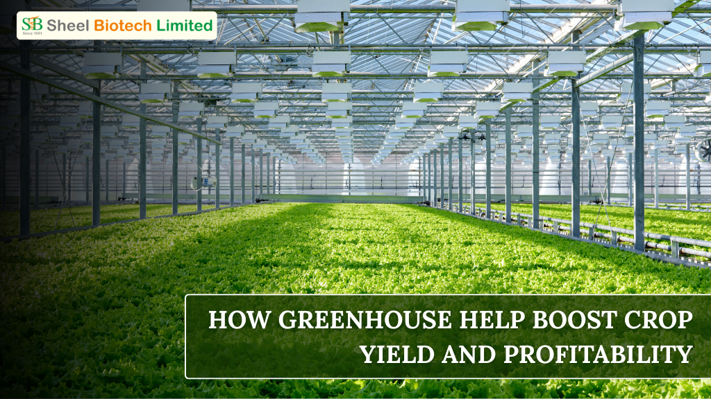Greenhouse crop cultivation