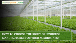 A modern commercial greenhouse structure featuring high-quality materials and climate control systems, designed to support agribusiness productivity and long-term farming success.