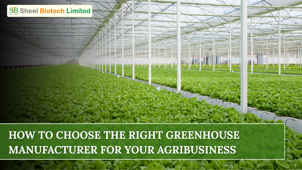 A modern commercial greenhouse structure featuring high-quality materials and climate control systems, designed to support agribusiness productivity and long-term farming success.