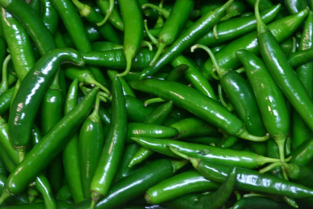 green_chilli_1200x1200