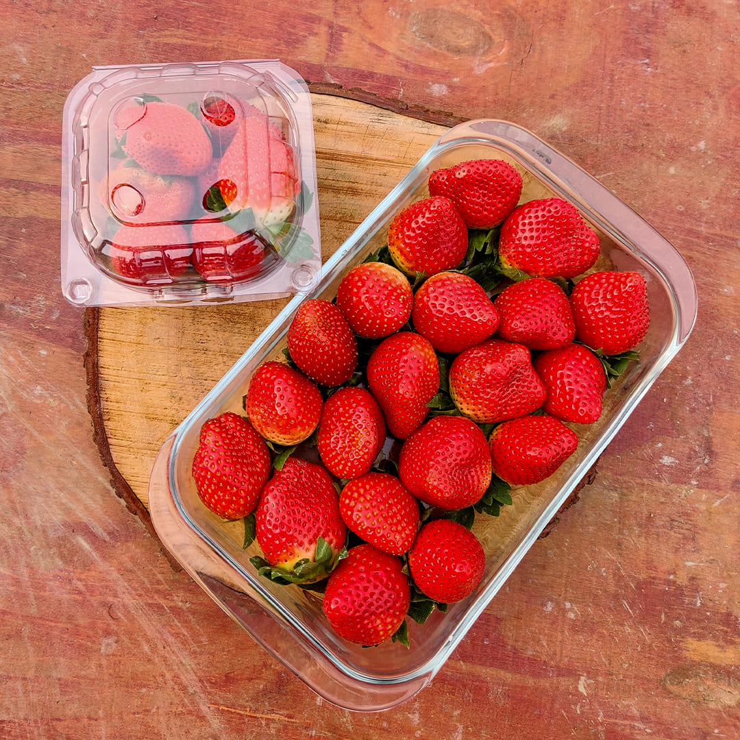 Strawberry Picking in Delhi NCR