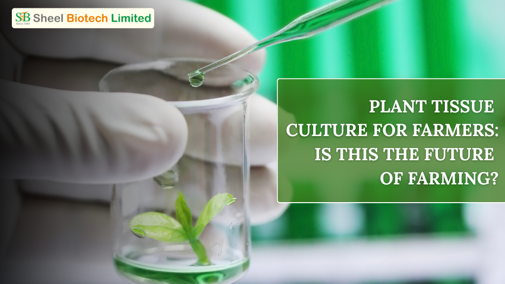 plant tissue culture for farmers is this the future of farming