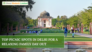 Top Picnic Spots In Delhi For A Relaxing Family Day Out