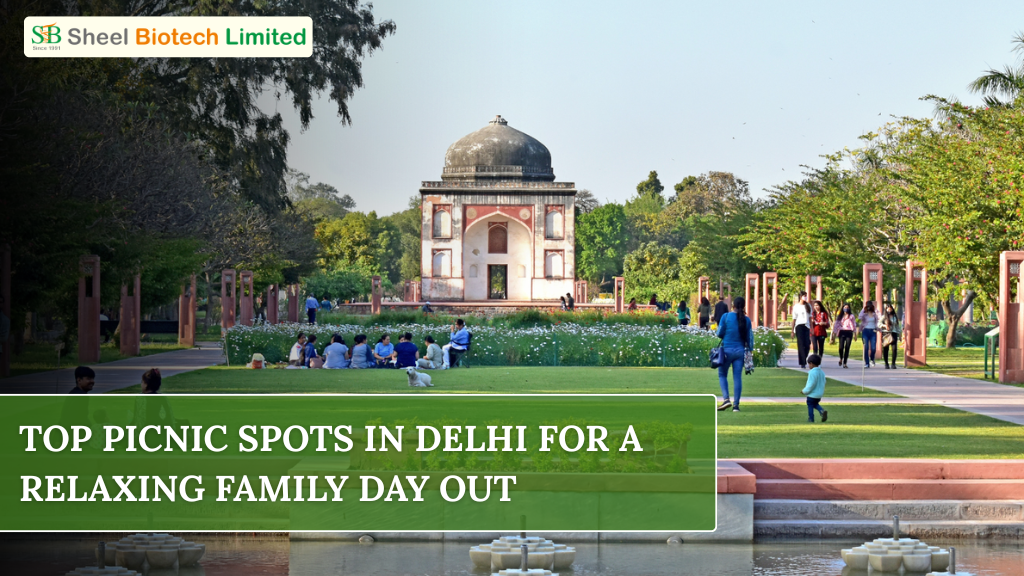 Top Picnic Spots In Delhi For A Relaxing Family Day Out