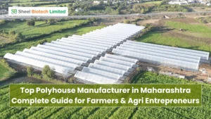 Top Polyhouse Manufacturer in Maharashtra: Complete Guide for Farmers & Agri Entrepreneurs