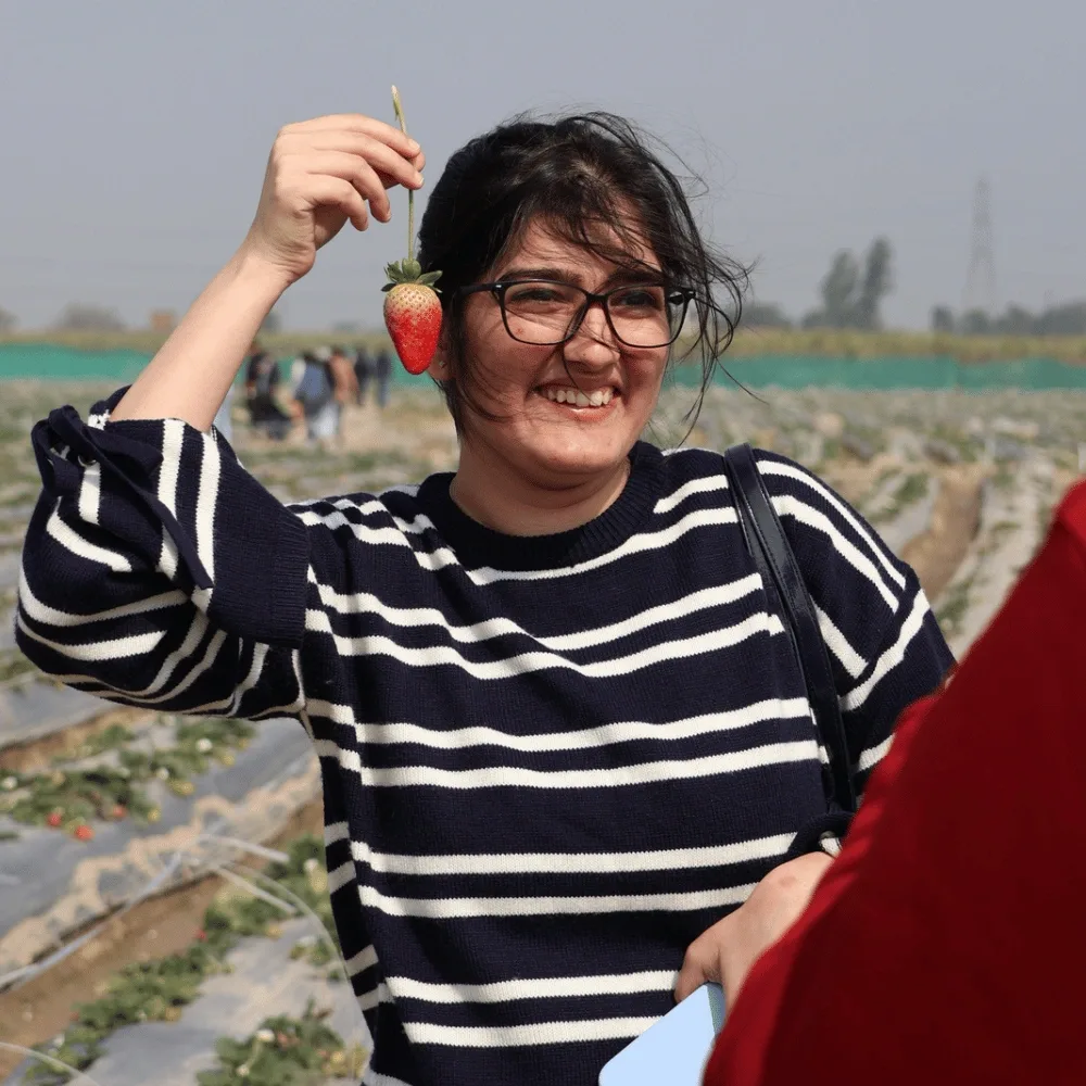 Explore Strawberry Picking Farm & Sustainable Farming in Delhi NCR